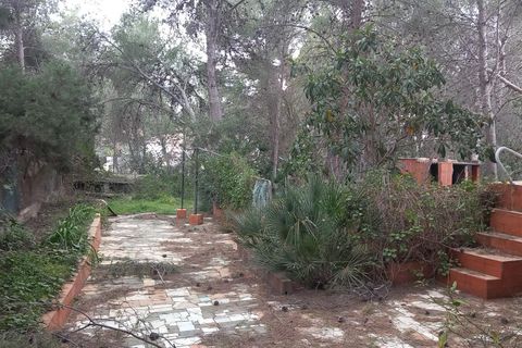 Terra a Serra, Valencia, Serra - € 213.000 | Ref: EXP13496/8930 - foto 7