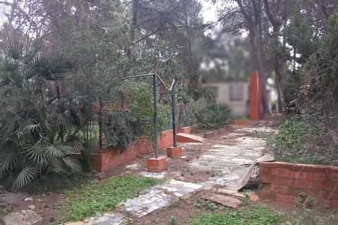 Terra a Serra, Valencia, Serra - € 213.000 | Ref: EXP13496/8930 - foto 9