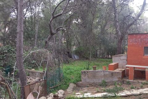Terra a Serra, Valencia, Serra - € 213.000 | Ref: EXP13496/8930 - foto 10