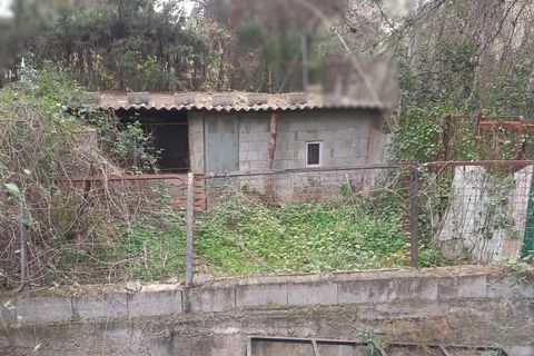 Terra a Serra, Valencia, Serra - € 213.000 | Ref: EXP13496/8930 - foto 11