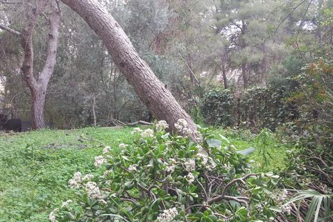 Terra a Serra, Valencia, Serra - € 213.000 | Ref: EXP13496/8930 - foto 13