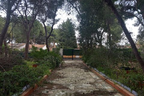 Terra a Serra, Valencia, Serra - € 213.000 | Ref: EXP13496/8930 - foto 15