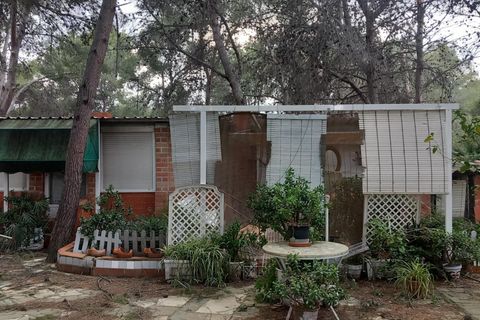 Terra a Serra, Valencia, Serra - € 213.000 | Ref: EXP13496/8930 - foto 17