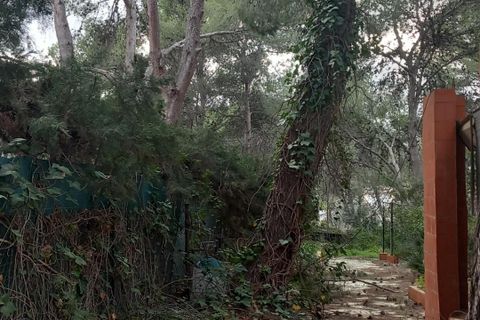 Terra a Serra, Valencia, Serra - € 213.000 | Ref: EXP13496/8930 - foto 18