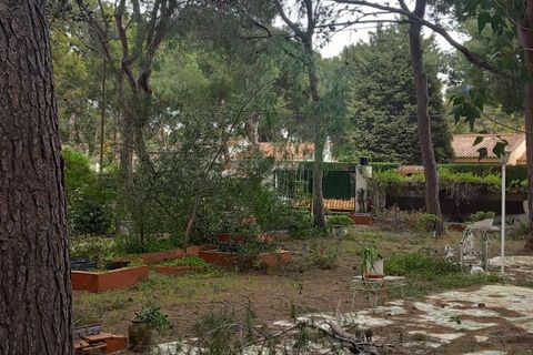 Terra a Serra, Valencia, Serra - € 213.000 | Ref: EXP13496/8930 - foto 19