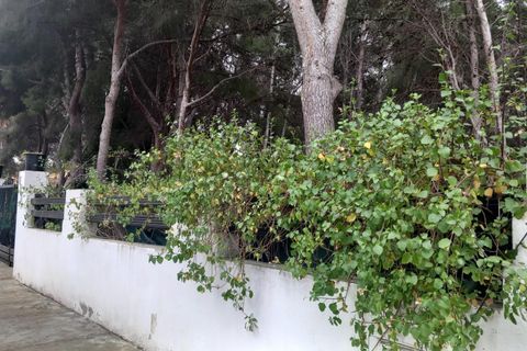 Terra a Serra, Valencia, Serra - € 213.000 | Ref: EXP13496/8930 - foto 29