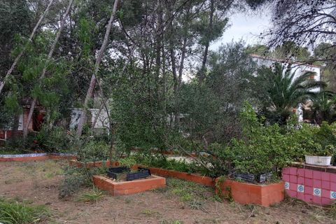 Terra a Serra, Valencia, Serra - € 213.000 | Ref: EXP13496/8930 - foto 31