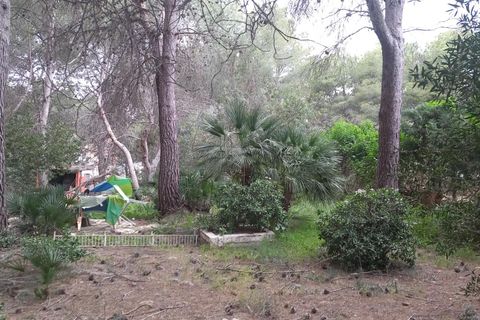Terra a Serra, Valencia, Serra - € 213.000 | Ref: EXP13496/8930 - foto 33