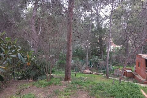 Terra a Serra, Valencia, Serra - € 213.000 | Ref: EXP13496/8930 - foto 35