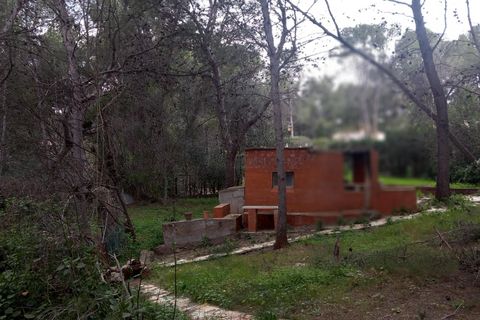 Terra a Serra, Valencia, Serra - € 213.000 | Ref: EXP13496/8930 - foto 36