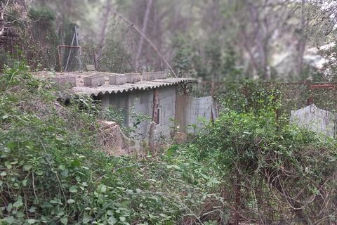 Terra a Serra, Valencia, Serra - € 213.000 | Ref: EXP13496/8930 - foto 37