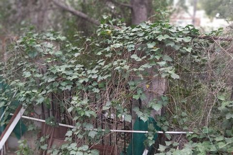Terra a Serra, Valencia, Serra - € 213.000 | Ref: EXP13496/8930 - foto 38
