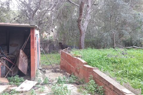 Terra a Serra, Valencia, Serra - € 213.000 | Ref: EXP13496/8930 - foto 39
