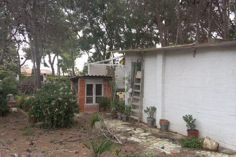 Terra a Serra, Valencia, Serra - € 213.000 | Ref: EXP13496/8930 - foto 40