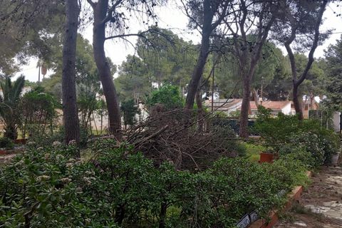 Terra a Serra, Valencia, Serra - € 213.000 | Ref: EXP13496/8930 - foto 42