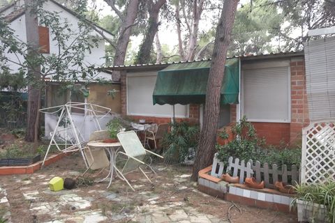 Terra a Serra, Valencia, Serra - € 213.000 | Ref: EXP13496/8930 - foto 43