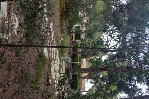 Terra a Serra, Valencia, Serra - € 213.000 | Ref: EXP13496/8930 - foto 45
