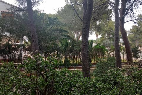 Terra a Serra, Valencia, Serra - € 213.000 | Ref: EXP13496/8930 - foto 46