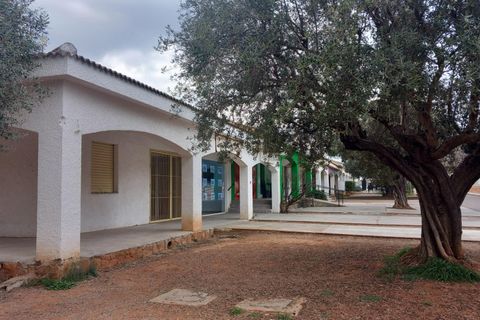 Terra a Serra, Valencia, Serra - € 213.000 | Ref: EXP13496/8930 - foto 47