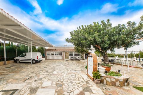 Villa a Turis, Valencia, Turis - € 399.000 | Ref: Mocadi-357/9775 - foto 19