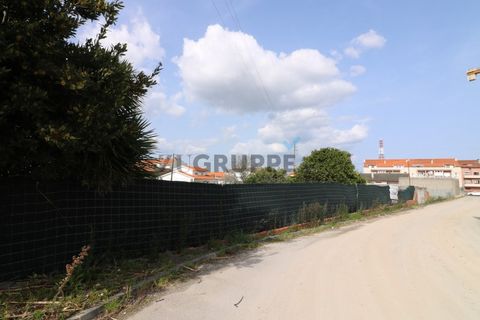 Helårsgrund i Aveiro, Aveiro, Aveiro - € 350.000 | Ref: MN_TRR_ZG_111777 - foto 2