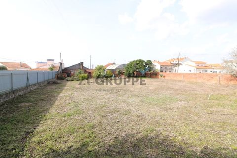 Helårsgrund i Aveiro, Aveiro, Aveiro - € 350.000 | Ref: MN_TRR_ZG_111777 - foto 5