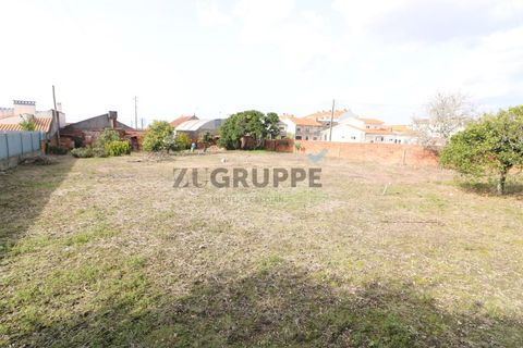 Helårsgrund i Aveiro, Aveiro, Aveiro - € 350.000 | Ref: MN_TRR_ZG_111777 - foto 6