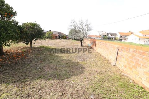 Helårsgrund i Aveiro, Aveiro, Aveiro - € 350.000 | Ref: MN_TRR_ZG_111777 - foto 7