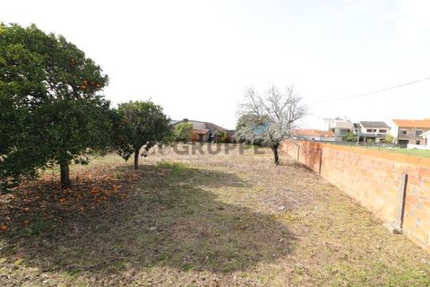 Helårsgrund i Aveiro, Aveiro, Aveiro - € 350.000 | Ref: MN_TRR_ZG_111777 - foto 8