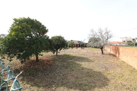 Helårsgrund i Aveiro, Aveiro, Aveiro - € 350.000 | Ref: MN_TRR_ZG_111777 - foto 9