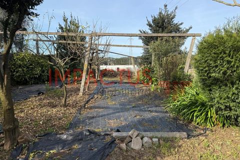 Duplex i Trofa, Porto, Trofa - € 389.000 | Ref: TC1694 - foto 25