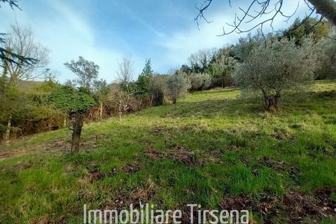 Villa a Orvieto, Terni, Orvieto - € 287.000 | Ref: VL142 - foto 10