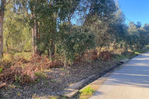Terra a Assafarge e Antanhol, Coimbra, Assafarge e Antanhol - € 57.500 | Ref: cbr3383 - foto 3