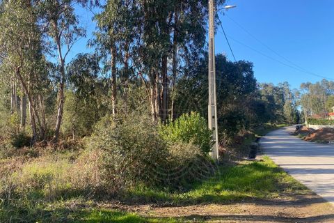 Terra a Assafarge e Antanhol, Coimbra, Assafarge e Antanhol - € 57.500 | Ref: cbr3383 - foto 9