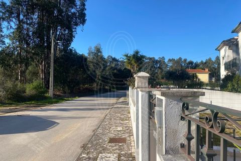 Terra a Assafarge e Antanhol, Coimbra, Assafarge e Antanhol - € 57.500 | Ref: cbr3383 - foto 5