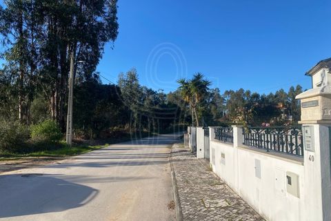 Terra a Assafarge e Antanhol, Coimbra, Assafarge e Antanhol - € 57.500 | Ref: cbr3383 - foto 7