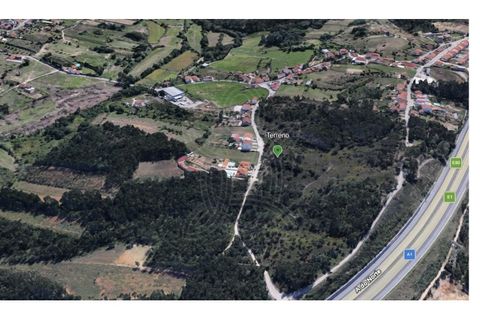 Terra a Assafarge e Antanhol, Coimbra, Assafarge e Antanhol - € 57.500 | Ref: cbr3383 - foto 10
