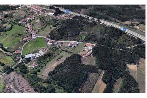 Terra a Assafarge e Antanhol, Coimbra, Assafarge e Antanhol - € 57.500 | Ref: cbr3383 - foto 11