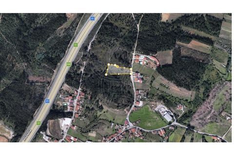 Terra a Assafarge e Antanhol, Coimbra, Assafarge e Antanhol - € 57.500 | Ref: cbr3383 - foto 13