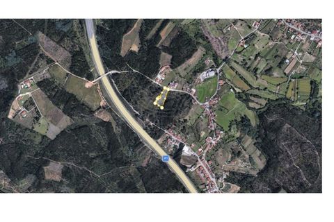 Terra a Assafarge e Antanhol, Coimbra, Assafarge e Antanhol - € 57.500 | Ref: cbr3383 - foto 14