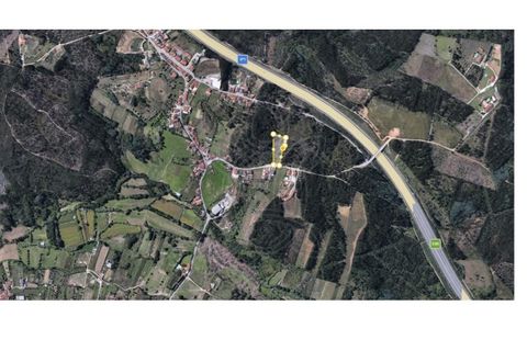 Terra a Assafarge e Antanhol, Coimbra, Assafarge e Antanhol - € 57.500 | Ref: cbr3383 - foto 16