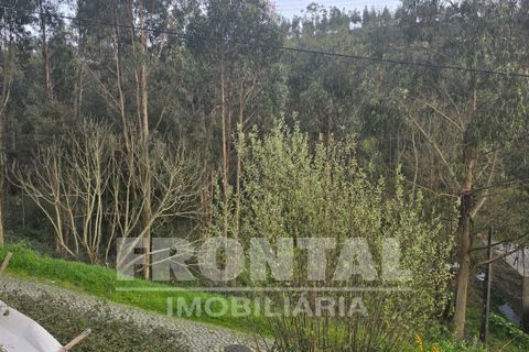Terra em Valongo, Porto, Valongo - € 56.150 | Ref: FPS-30574 - foto 4