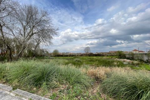 Terra a Murtosa, Aveiro, Murtosa - € 55.000 | Ref: 597 - foto 2