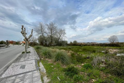 Terra a Murtosa, Aveiro, Murtosa - € 55.000 | Ref: 597 - foto 3