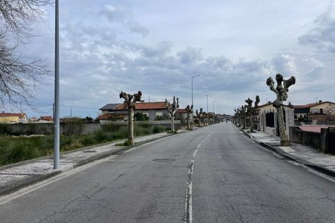 Terra a Murtosa, Aveiro, Murtosa - € 55.000 | Ref: 597 - foto 4