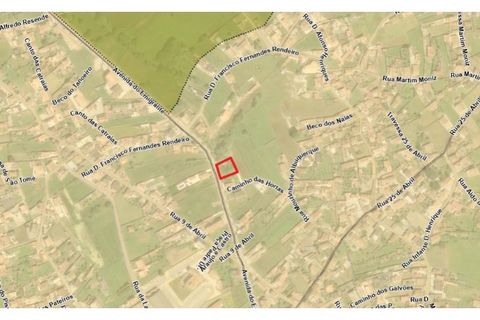 Terra a Murtosa, Aveiro, Murtosa - € 55.000 | Ref: 597 - foto 5