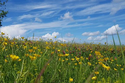 Villa a Amandola, Fermo, Amandola - € 310.000 | Ref: 6998 - foto 7