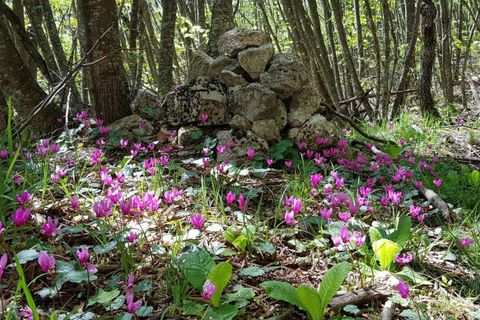 Villa a Amandola, Fermo, Amandola - € 310.000 | Ref: 6998 - foto 31