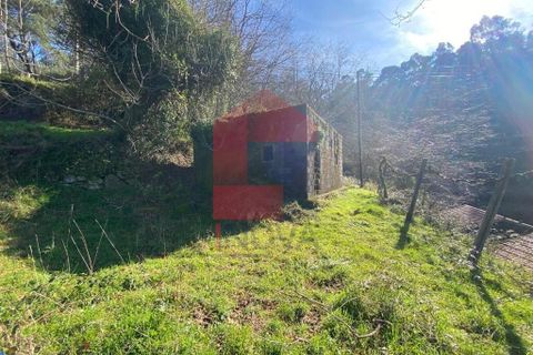 Byhus i Vila Verde, Braga, Vila Verde - € 120.000 | Ref: 08816 - foto 27