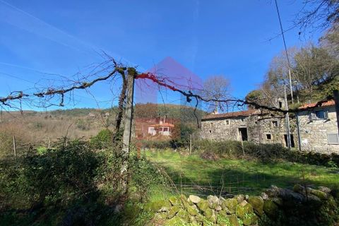 Byhus i Vila Verde, Braga, Vila Verde - € 120.000 | Ref: 08816 - foto 40